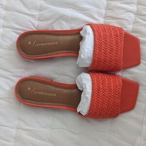 The Coralie Mule Slide Sandal by Maeve